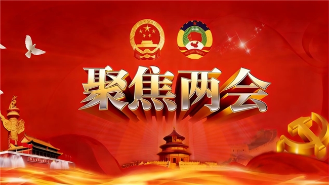 军旅书法家——庄宏华 献礼盛世两会