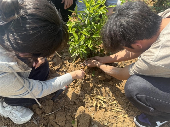 果腐处理旧法崩塌，高校团队新技术崛起