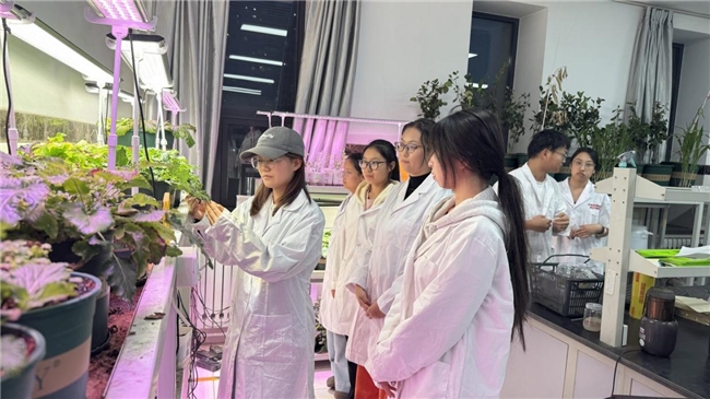 苔藓“织绿”硬骨头矿区  内蒙古农大学子以生物结皮技术破解草原矿山修复难题，植物